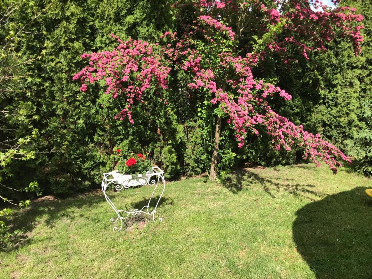 Pensjonat Rozanna Wawolnica Exteriér fotografie